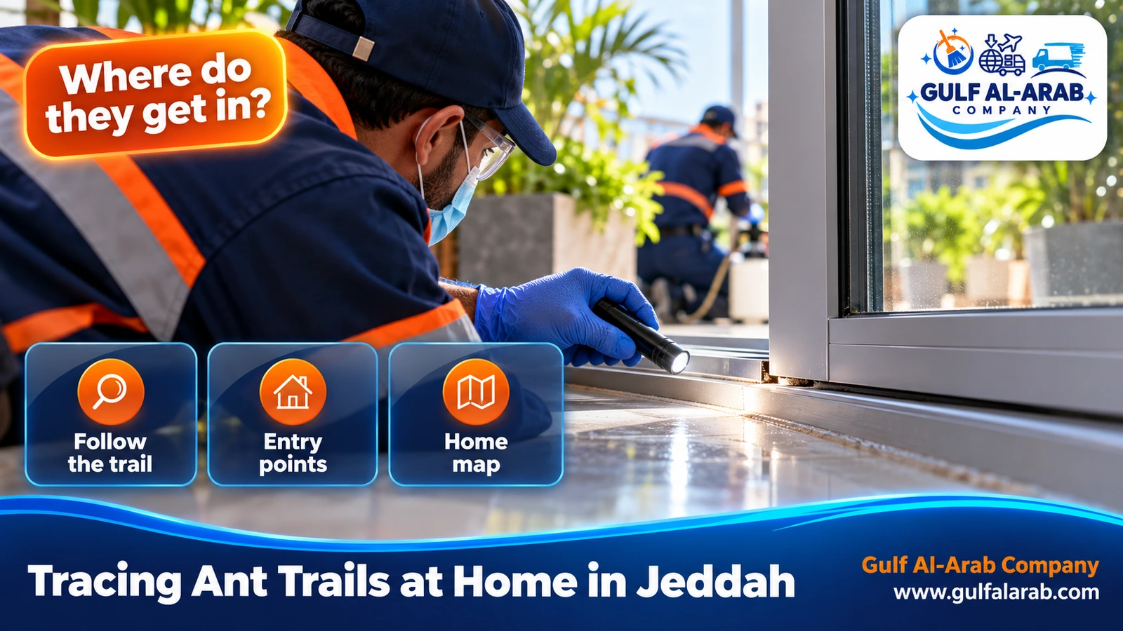 Tracing Ant Trails at Home in Jeddah