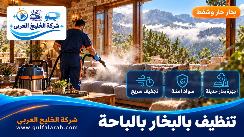 تنظيف بالبخار بالباحة
